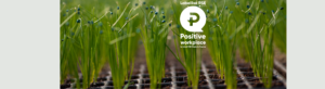 Visuel Carroussel Positive Workplace