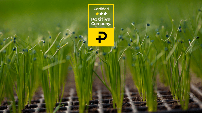 Positive company