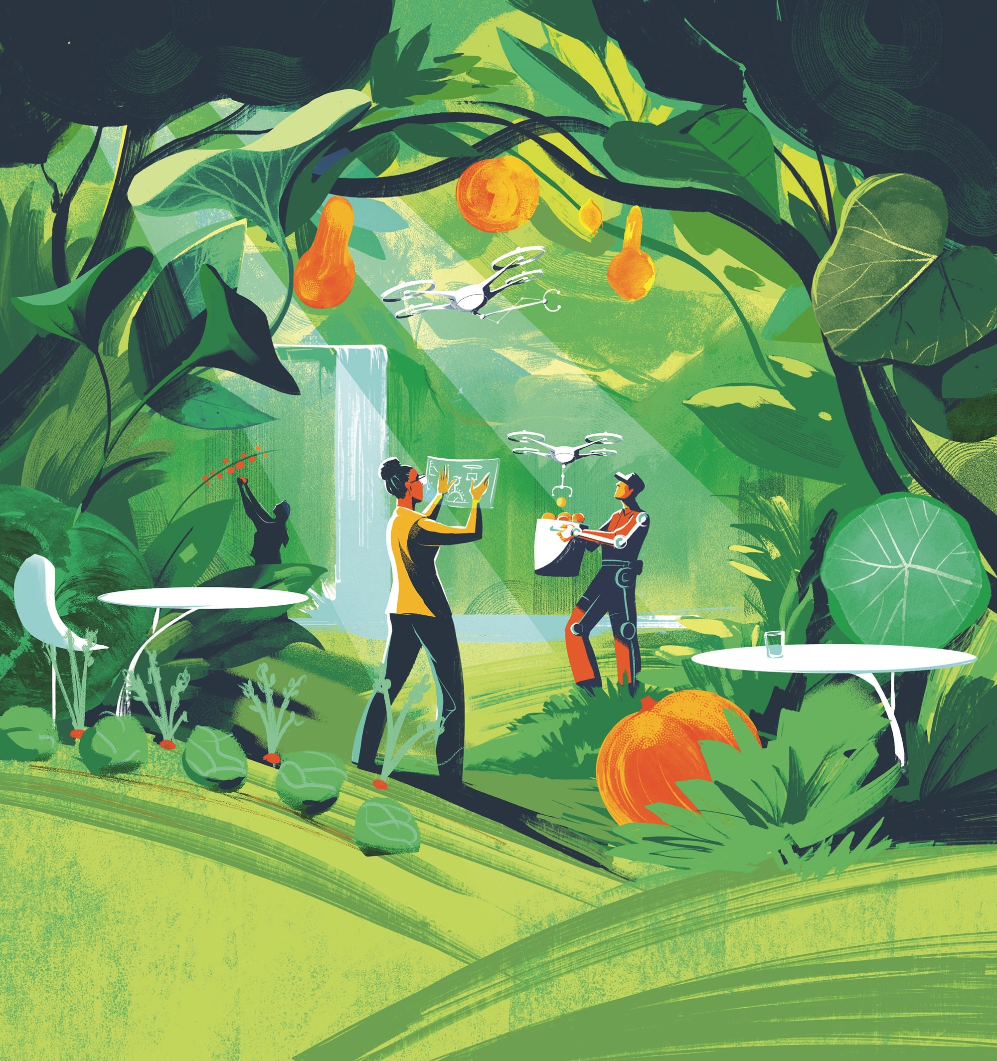 illustration_transformez